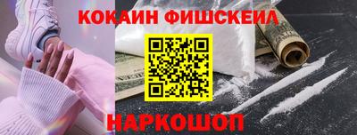 СК Новодвинск