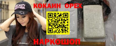 СК Новодвинск