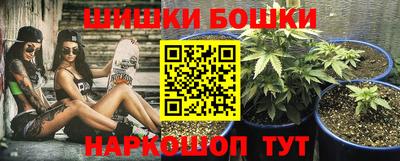 СК Новодвинск