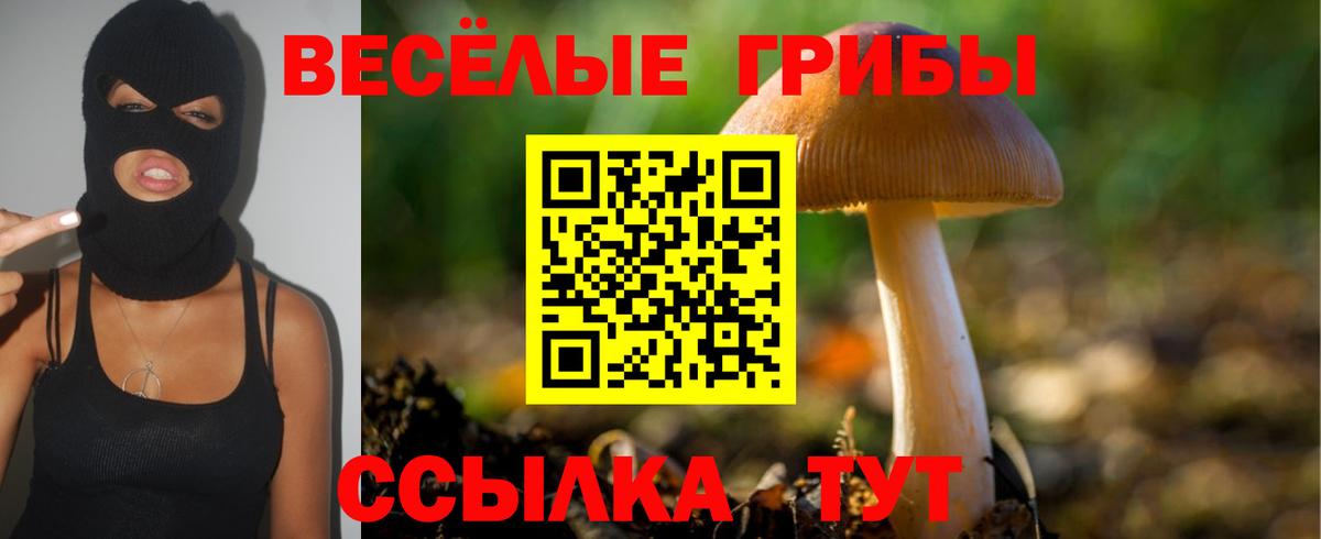 Псилоцибиновые грибы Psilocybe Фролово